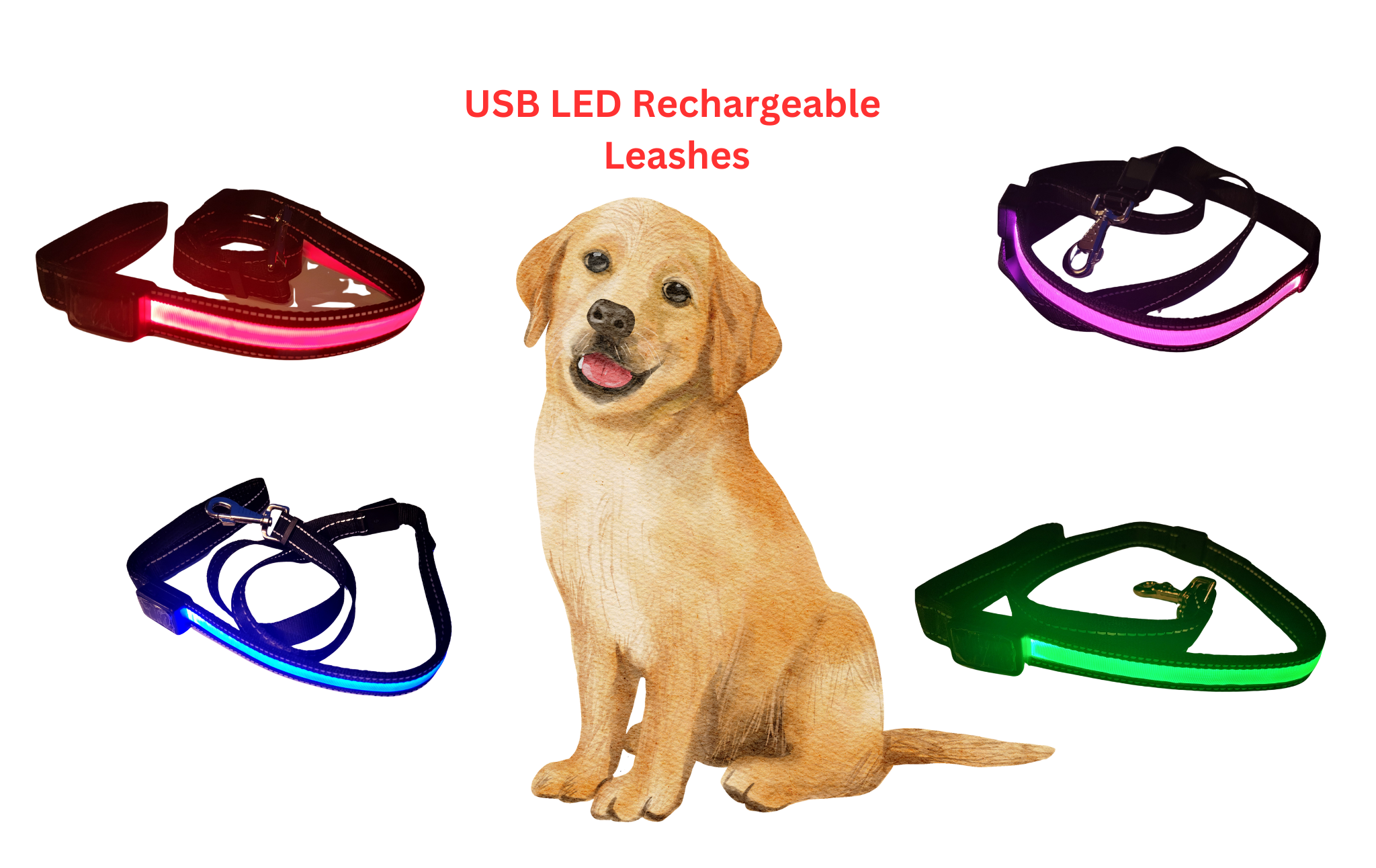 Rechargeable DOG Leash 5.5 feet PERFECT FOR NIGHT WALKS - Image 8